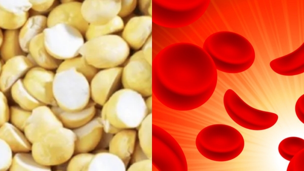 Can Pregnant Woman take Pottukkadalai and Wonderful Health Benefits in the pottu kadalai Can Pregnant Woman take Pottukkadalai and Wonderful Health Benefits in the pottu kadalai