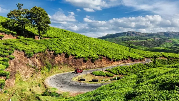 Tourists in Munnar area should come to the lodge before 7 pm expert committee reports in HC