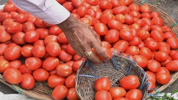 Tomato price hike in Chennai Koyambedu