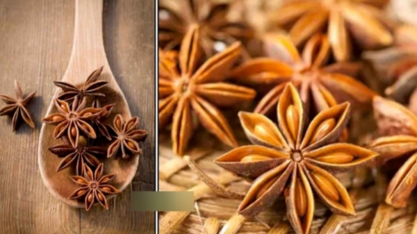 Do you know Wonderful Medicinal Uses of Star Anise and Can Women use Powerful Annasi Poo to prevent the Cancer cells