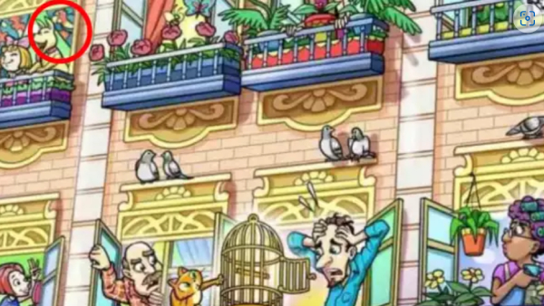 Optical Illusion Spot the parrot which escaped from the cage