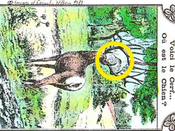 Can you spot the hidden dog in the Optical Illusion picture within 9 seconds