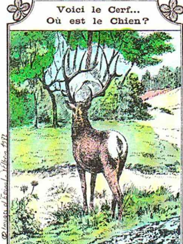 Can you spot the hidden dog in the Optical Illusion picture within 9 seconds