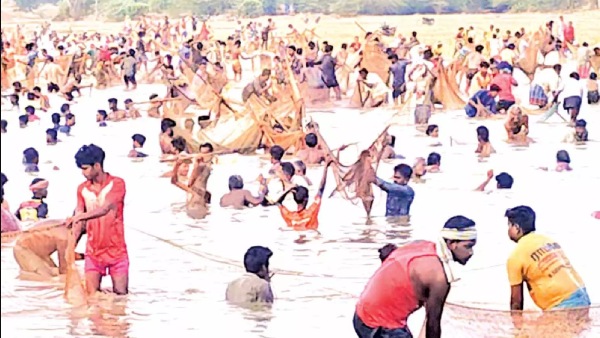 Pudukkottai Temple Festival and Katla Jilebi Kendai Ayirai Excellent fishing near Ponnamaravathi Koppanapatti River
