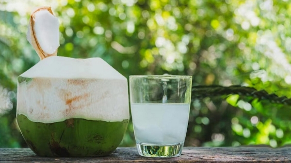 Do Not Drink Water from Coconut Directly suggest Experts here is the reason