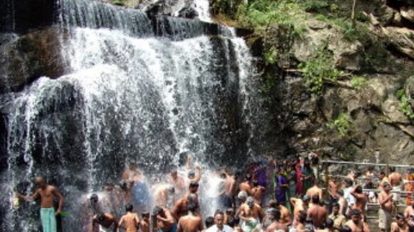 Due to good rain in Meghamalai there is an increase in the flow of water in Chinna Suruli Falls Due to good rain in Meghamalai there is an increase in the flow of water in Chinna Suruli Falls
