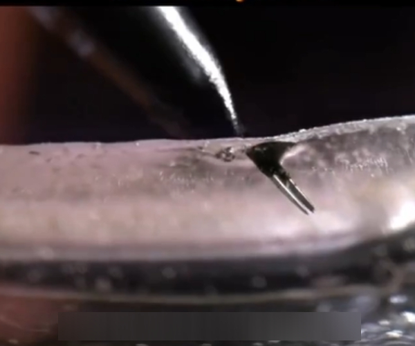 Are you going to get tattoo in your skin