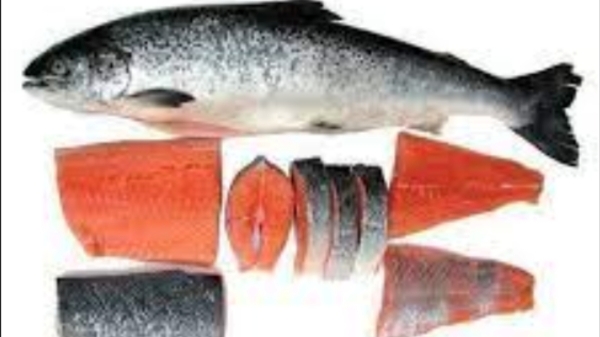 Do you know Amazing Health Uses of Salmon Fish and Eating Salmon Fish is the Best for Heart Skin Diseases