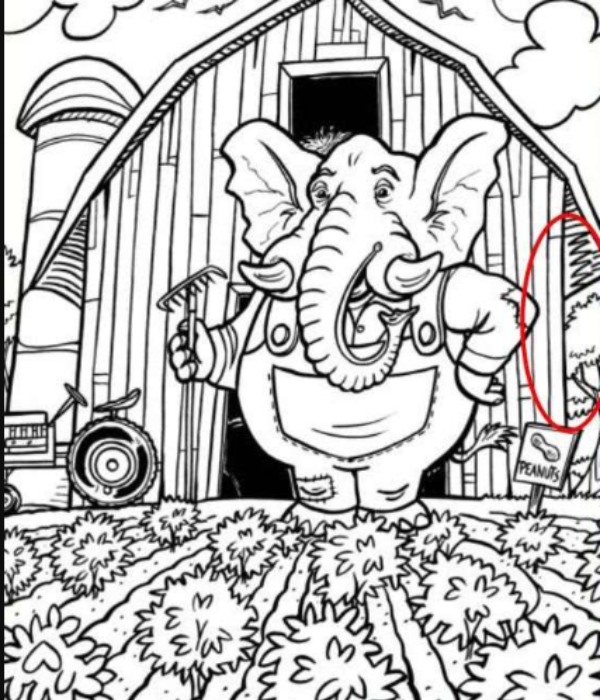 Optical Illusion Find the Toothbrush hidden in this picture within 8 secconds
