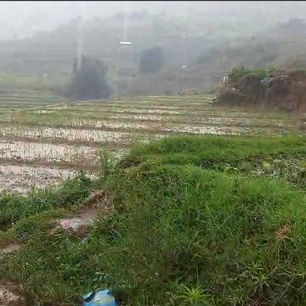 Madurai and Kodaikanal receive rains in the scorching summer heat Madurai and Kodaikanal receive rains in the scorching summer heat