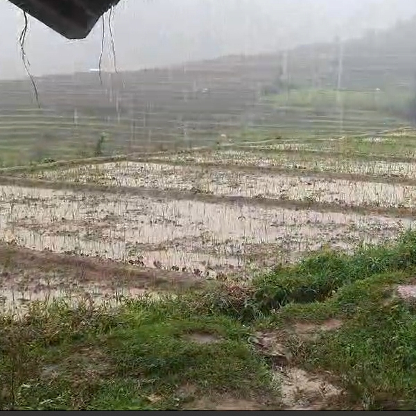 Madurai and Kodaikanal receive rains in the scorching summer heat Madurai and Kodaikanal receive rains in the scorching summer heat