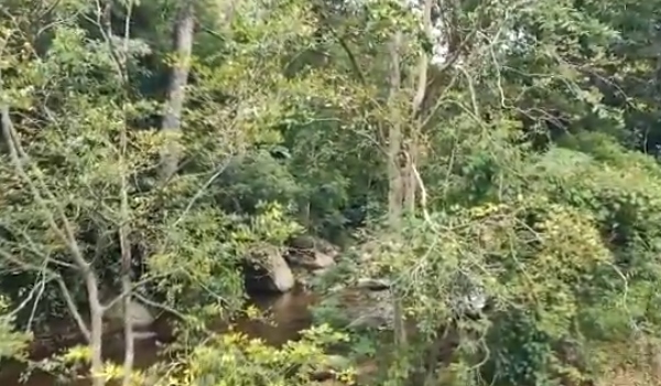 Varusanadu was the best tourist place in Tamil nadu and Kerala border