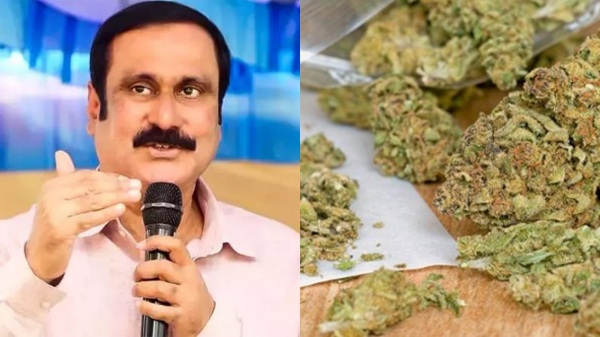Ganja case criminals are being made to escape by police Anbumani Ramadoss