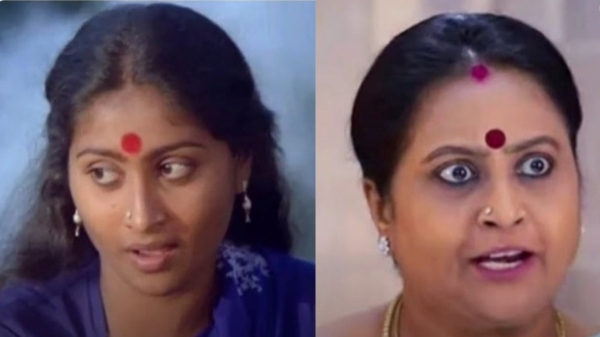 Television Baakiyalakshmi Serial Vijay TV Entertainment