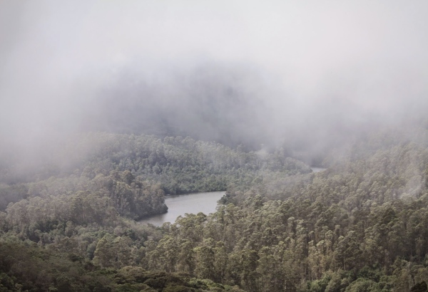 tour kodaikanal