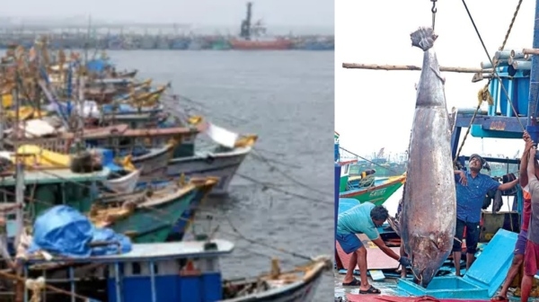 Chennai Kasimedu new fishing port is being built and Fantastic Tuna Fishing port Tiruvottiyur