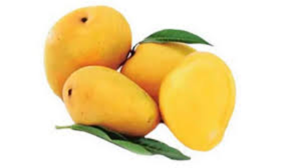 Health Health tips Mango mangoes Diabetics