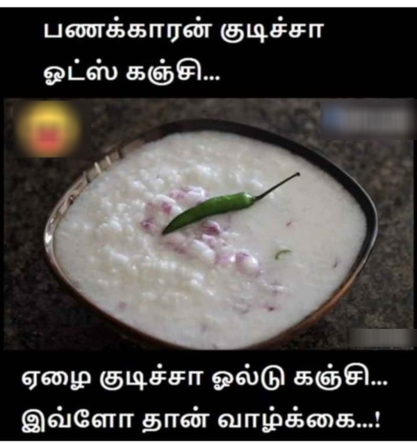 lok sabha election 2024 politics candidates memes 2024