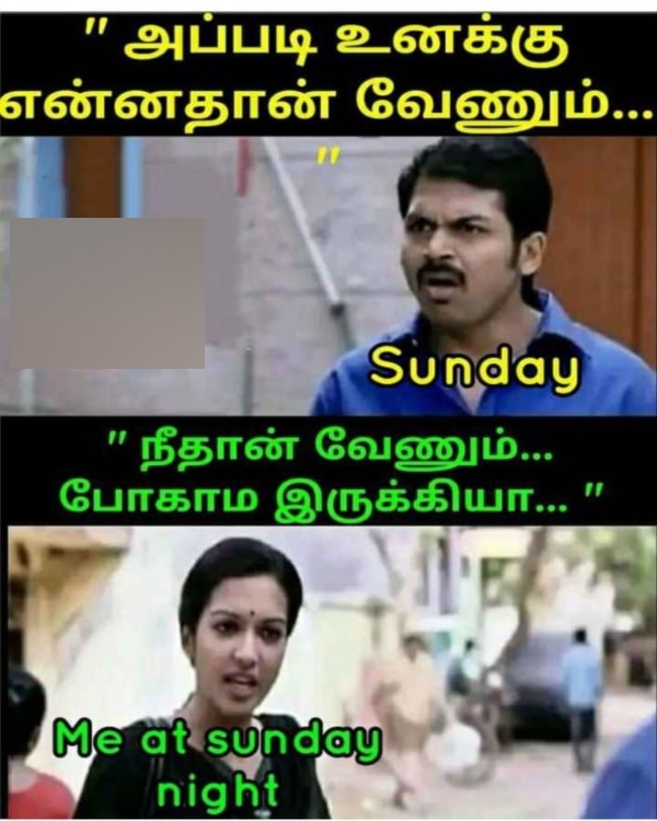 sunday memes