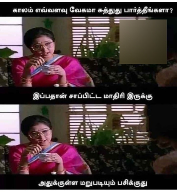 lok sabha election 2024 politics candidates memes 2024