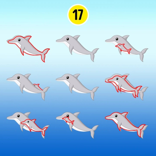 offbeat world optical illusion trend illusion photo picture optical illusion picture puzzle