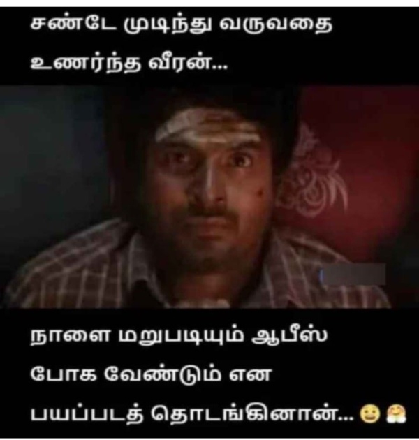sunday memes