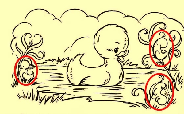 offbeat world optical illusion