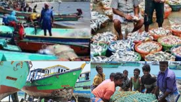 Fishing ban Tamil Nadu Fisherman Fish Rate