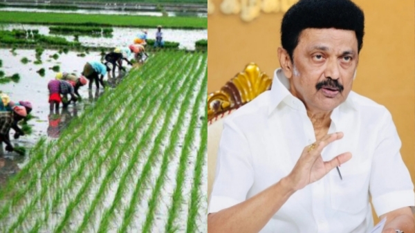 Tamil nadu stalin