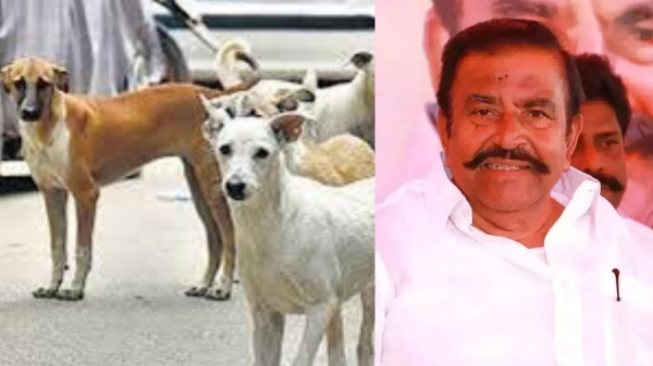 KN Nehru tamil nadu Chennai dog