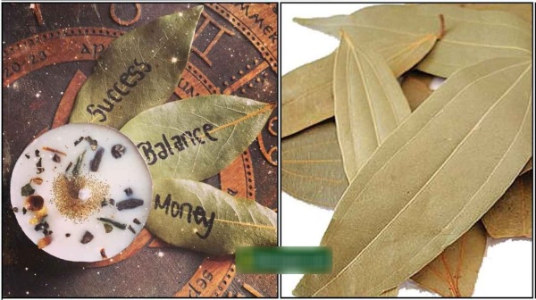 Spirituality money Vastu Tips pariharam