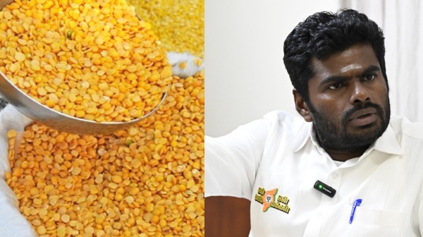 Chennai BJP Annamalai Politics DMK Mk Stalin Chennai BJP Annamalai Politics DMK Mk Stalin