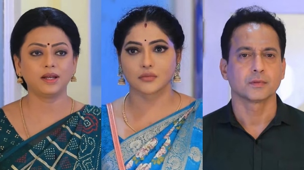 Television Baakiyalakshmi Serial Vijay TV Entertainment