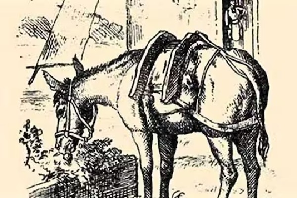 offbeat world optical illusion trend illusion photo picture optical illusion picture puzzle