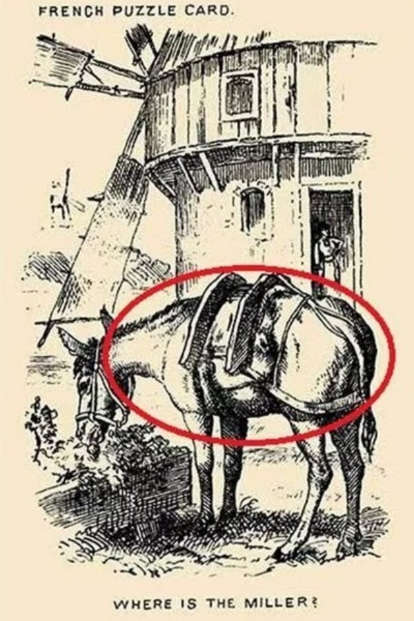 offbeat world optical illusion trend illusion photo picture optical illusion picture puzzle