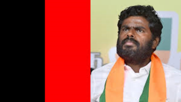 Annamalai Tamil Nadu BJP AIADMK DMK lok sabha election result Annamalai Tamil Nadu BJP AIADMK DMK lok sabha election result