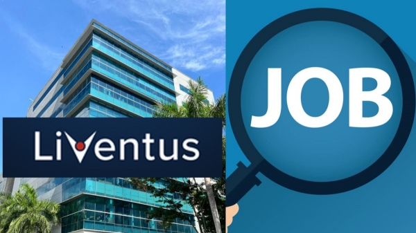 it jobs job jobs career careers