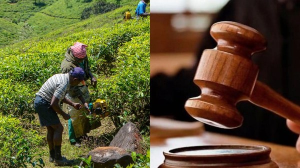 Manjolai High Court Madurai Government of Tamil Nadu