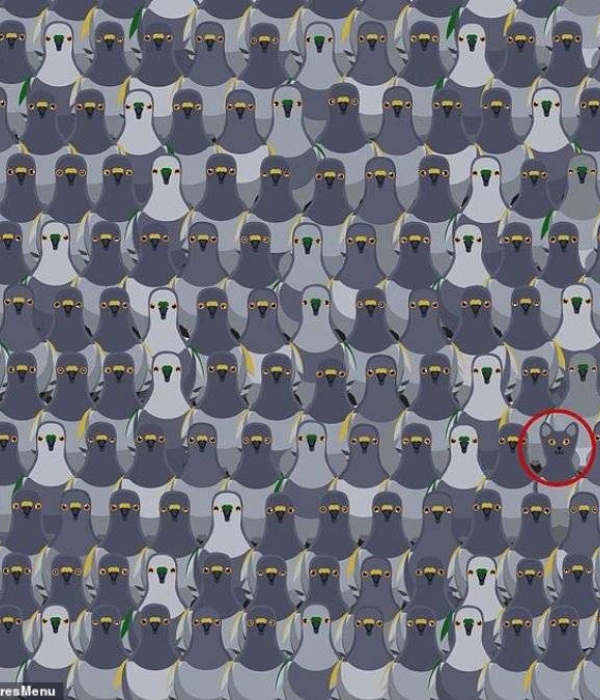 puzzle offbeat world optical illusion trend illusion photo picture optical illusion picture