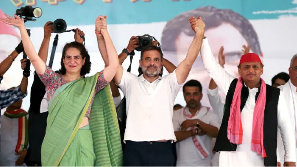 Lok Sabha Election 2024 Lok Sabha Election Result 2024 BJP Congress 2024 2024