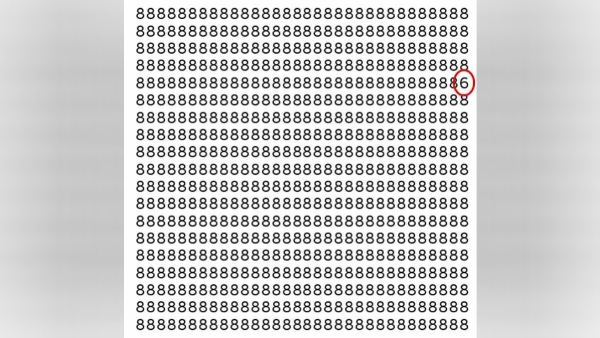 offbeat world optical illusion trend illusion photo picture optical illusion picture puzzle