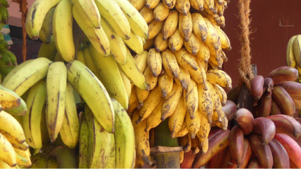 Health Health news Health tips Banana Bananas Sugar Patients Diabetics