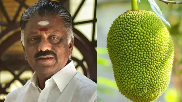 lok sabha election 2024 o paneer selvam srivilliputhur