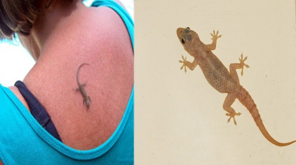 Spirituality Vastu tips Spirituality Vastu tips