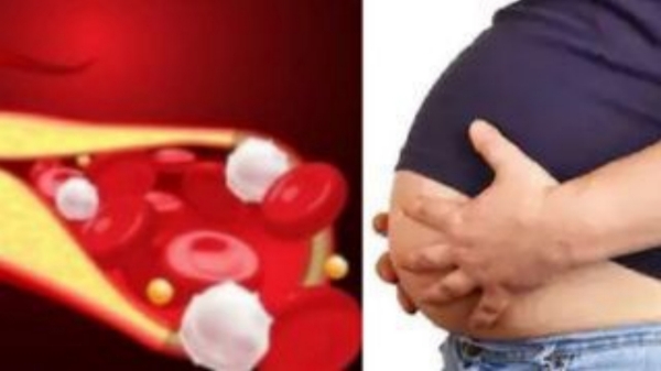 Health Weight Loss Tips Yogurt