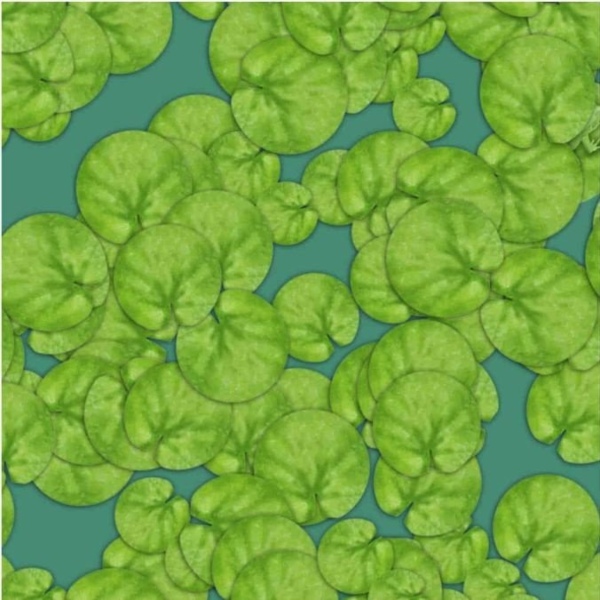 offbeat world optical illusion trend illusion photo picture optical illusion picture puzzle