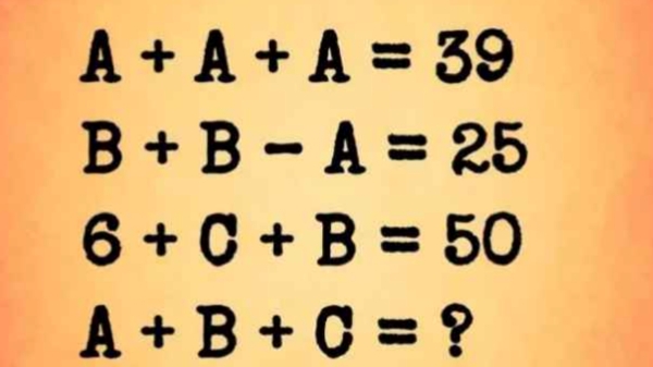 optical illusion offbeat puzzle