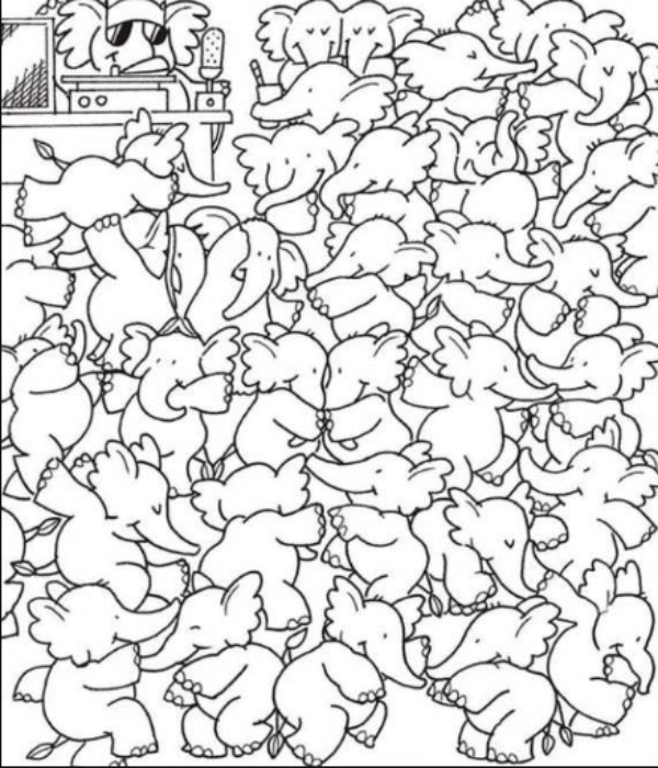 offbeat world optical illusion trend illusion photo picture optical illusion picture puzzle