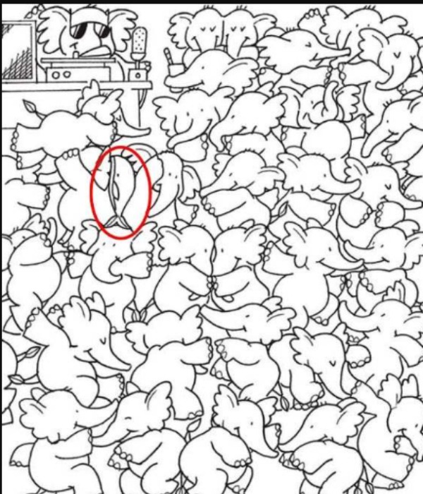 offbeat world optical illusion trend illusion photo picture optical illusion picture puzzle