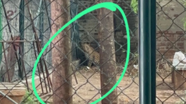 Tirupattur Leopard School Forest Department